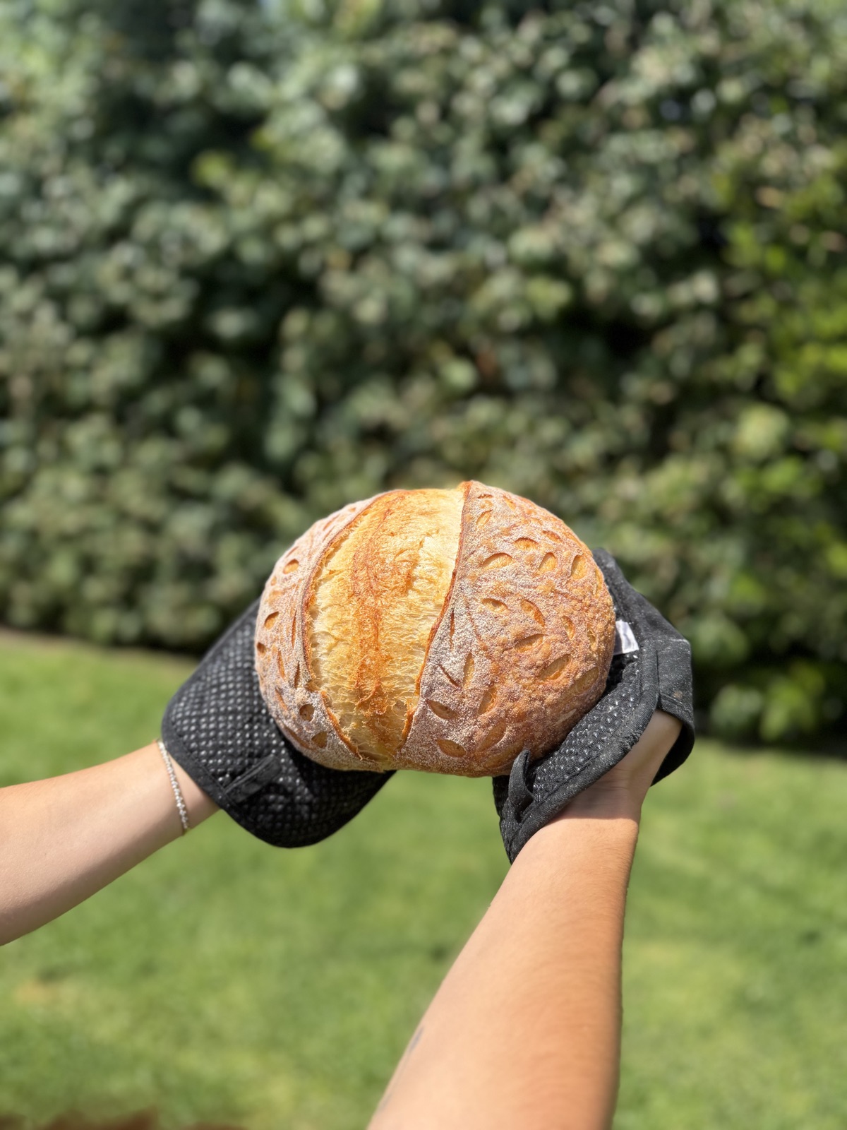 A sourdough boule with intricate wheat-pattern scoring, held in oven mitts in the garden.